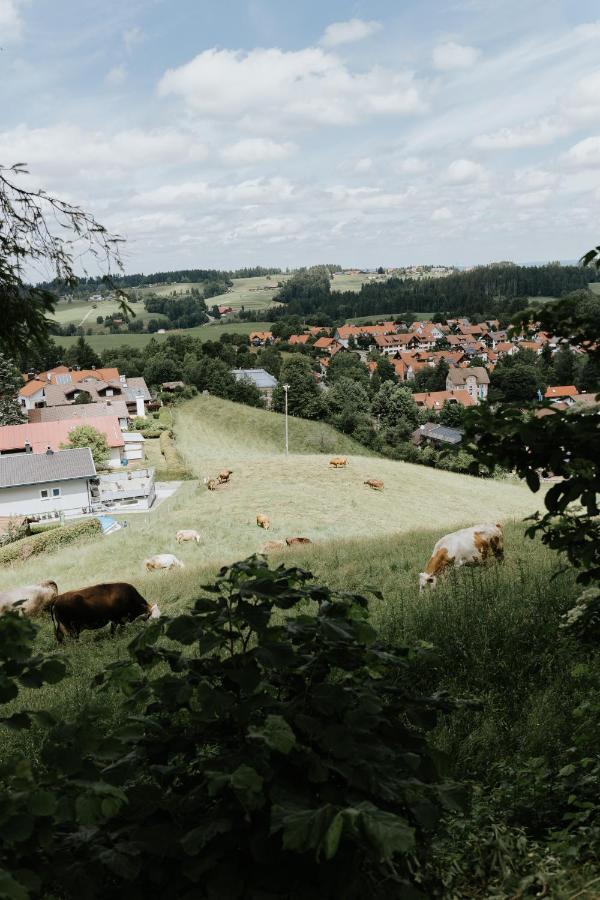 Ferienwohnung Alpenblick I Kamin I Private Sauna Wangen im Allgäu Exteriör bild