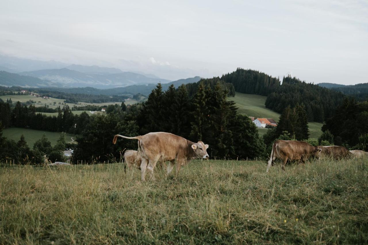 Ferienwohnung Alpenblick I Kamin I Private Sauna Wangen im Allgäu Exteriör bild